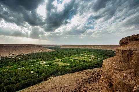 Oasis, near Errachidia, Drâa-Tafilalet region, High Atlas, Morocco