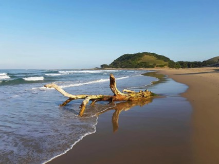 A piece of driftwood on a quiet beach with gentle waves and a blue sky, Coffee Bay, Wild Coast,