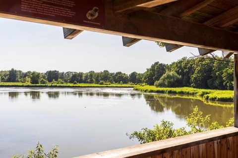 View from Brösaer Teich observation tower, Guttauer Teiche, Oberlausitzer Heide- und