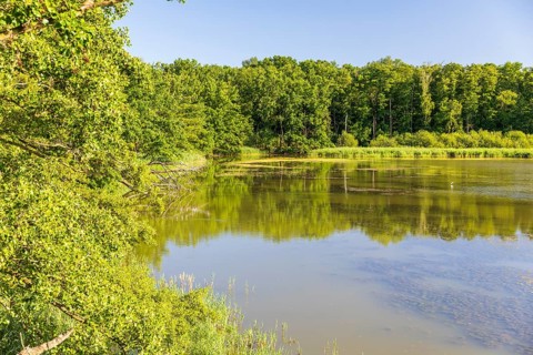 Brösaer Teich, Guttauer Teiche, Oberlausitzer Heide- und Teichlandschaft, Guttau, Saxony, Germany