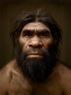 Portrait of a Neanderthal man, symbolic image paleontology, Homo Neoka ensis, primate, prehistoric