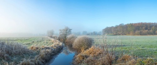 View along a ditch where trees and grasses grow on the shore and the morning dew is frozen, Winter,