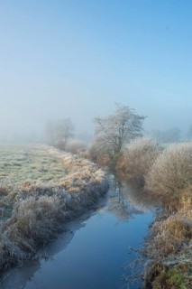 View along a ditch where trees and grasses grow on the shore and the morning dew is frozen, Winter,