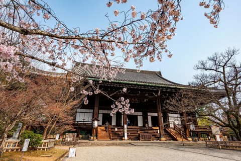 Shinsho Gokurakuji or Shinnyo-do temple, Japanese cherry blossom, Kyoto, Japan