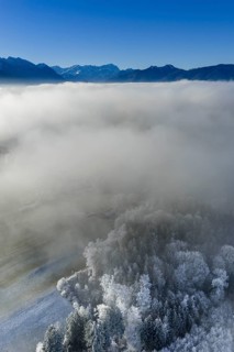 Winter landscape, fog, high fog, mountain landscape, hoarfrost, cold, trees, forest, winter, sunny,