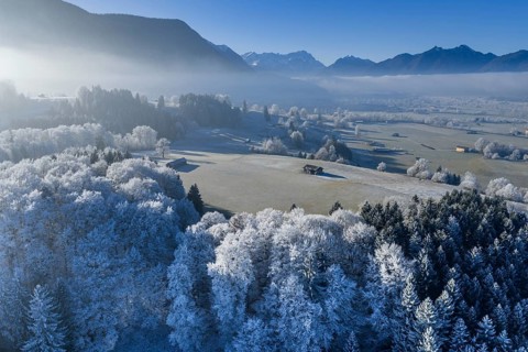 Winter landscape, fog, high fog, mountain landscape, hoarfrost, cold, trees, forest, winter, sunny,