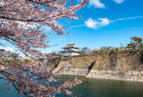 Watch tower at Osaka Castle Wall, blooming cherry trees in a moat park with water, Chuo-ku, Osaka,