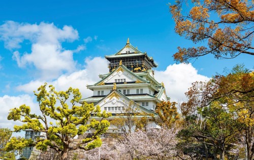 Osaka castle with blooming cherry trees in the park, Osaka Castle Park, Chuo-ku, Osaka, Japan