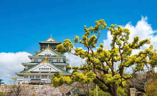 Osaka castle among trees in the park, Osaka Castle Park, Chuo-ku, Osaka, Japan
