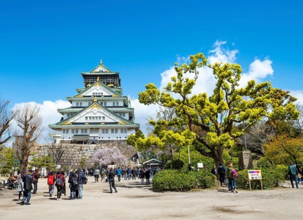Osaka castle among trees in the park, visitors in Osaka Castle Park, Chuo-ku, Osaka, Japan