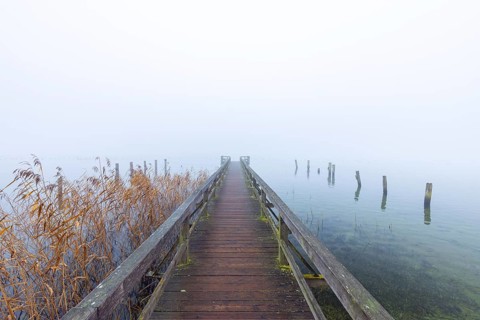 Wooden jetty at Lake Ratzeburg, Ratzeburger See in the mist, Lauenburg Lakes Nature Park, Naturpark