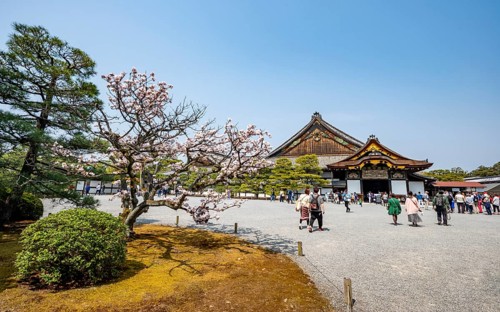 Kuruma-yose building behind the Tosaburai with blooming cherry tree, former imperial villa, Nijo