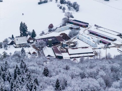 Farmhouse surrounded by snow-covered fields and forests in a wintry landscape, Haselstaller Hof,