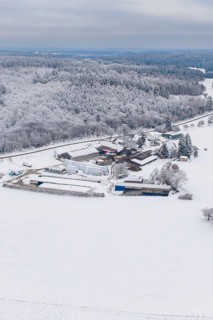 Snowy landscape with a farm surrounded by forests under a grey sky, Haselstaller Hof, Gechingen,