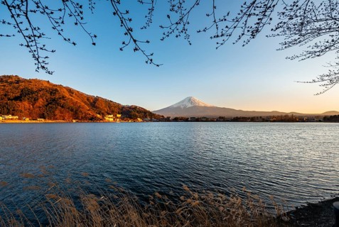 Lake Kawaguchi, view of Mount Fuji volcano at sunset, Yamanashi Prefecture, Japan