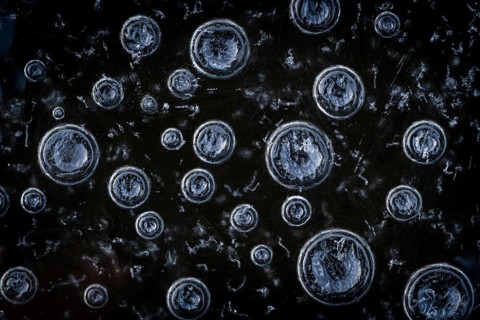 Abstract circular structures formed by air bubbles in the ice against a dark background,
