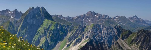 Mountain panorama with troll flowers (Trollius europaeus) from Laufbacher-Eckweg to Höfats 2259m,