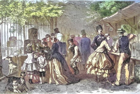 The German bird market in the garden of the stock exchange in Saint Petersburg, Russia/The German