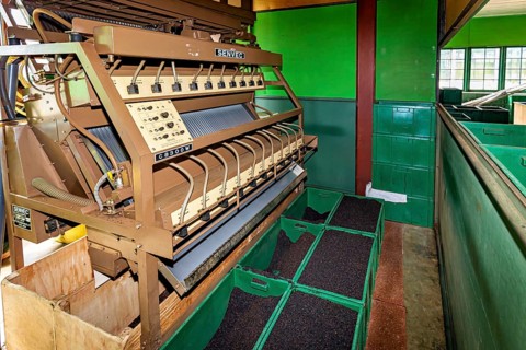 Industrial machine in a factory with green containers standing in an interior, tea factory in the