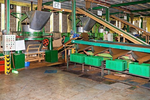 Industrial machines and processing lines in a coffee production factory, tea factory in the
