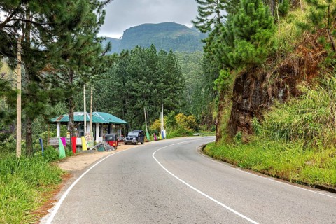 Curvy road through a green, wooded landscape with mountains in the background, road in the