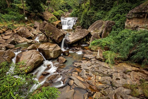 A small body of water flows over rocks in a green, dense forest, waterfall in the mountains of