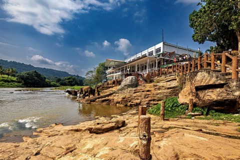 A building stands by a river, surrounded by rocks and trees under a blue sky, The elephants of
