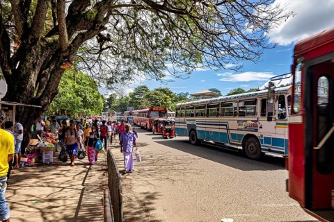 Busy street with passing buses and people under trees in sunny weather, Kandy bus station in Sri