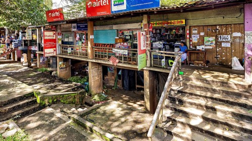 A storefront with various signs and posters surrounded by trees and a rustic atmosphere, The old
