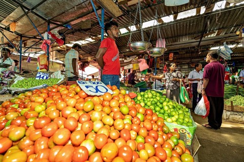 A market full of fresh tomatoes and lemons, animated by people and sales activities, The old market