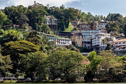 Houses on a wooded hill with tropical vegetation and urban architecture under blue skies, houses in
