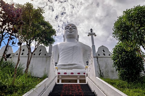 Impressive Buddha statue on the temple grounds, surrounded by stairs and trees, with cloudy sky,