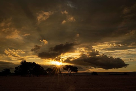Sunset in Namib Naukluft National Park
