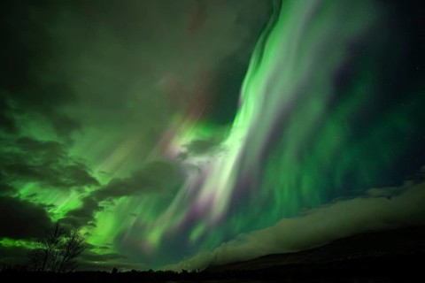 Northern lights, aurora borealis, over Dovrefjell-Sunndalsfjella National Park, Norway