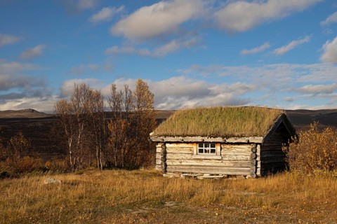 Lonely log cabin in tundra in autumn, Dovrefjell-Sunndalsfjella National Park, Norway