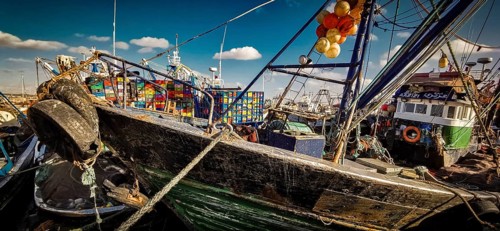 Detailed scene with colorful fishing boats and lively harbor atmosphere when the sun is shining in