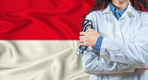 Healthcare professional with Indonesia flag background. Professional doctor holding stethoscope on
