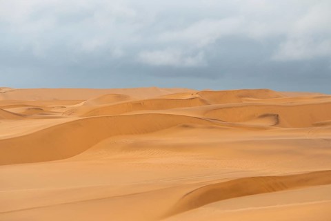 Sand dunes of the Namib Desert near Walvis Bay, Namibia