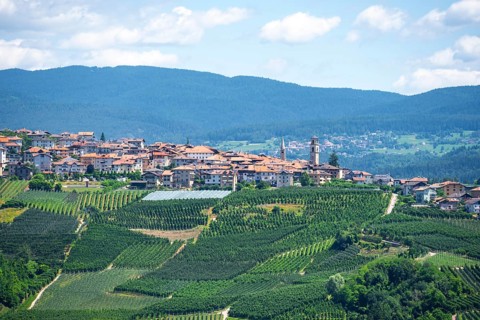 View of town, Varollo-Scanna village with fields and vineyards, Trentino, Italy