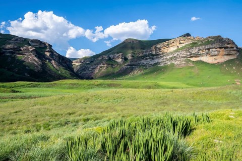 Grassland with sandstone cliffs and cliffs, landscape in Golden Gate Highlands National Park, Free