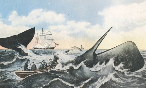 Whaling in the 19th century, sailing ship, small dinghy with harpooner, fishing, harpoon,