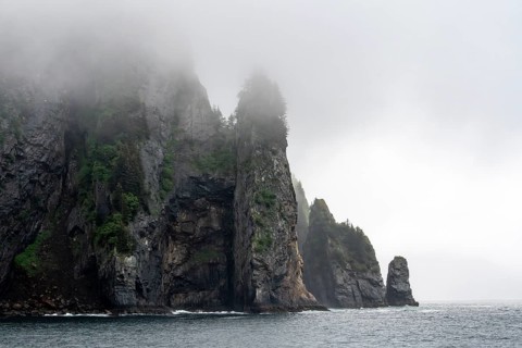 Mystical fog sweeps around rocky islands on the coast, Kenai Fjords National Park, Kenai Peninsula,
