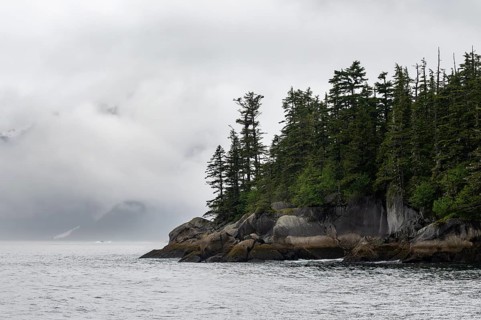 Rocky coast with coniferous forest, coastal landscape, mystical cloud-covered mountains, Kenai
