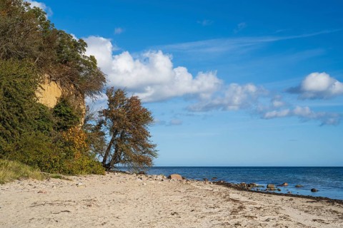 Cliff and beach near Lobbe, Mönchgut peninsula, Rügen, island, Baltic Sea, Mecklenburg-Western