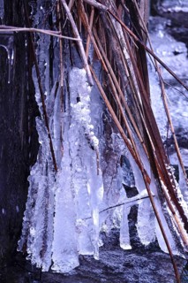 Ice on a watercourse, winter, Germany