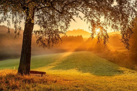 View of the Wartburg in the Thuringian Forest at sunrise and morning fog, the sun shining through