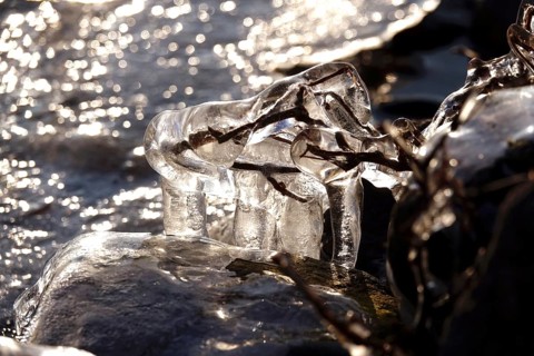 Ice on a lake on the shore, winter, Germany