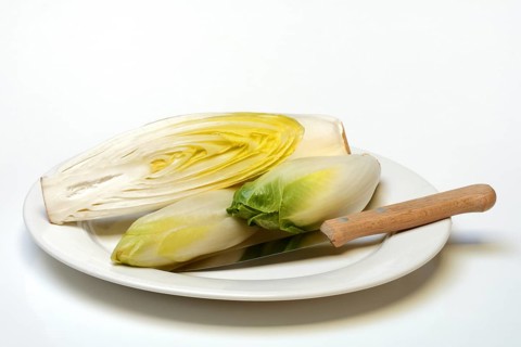 Chicory, chicory salad on plate with knife