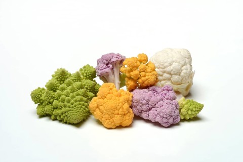 Colored cauliflower, Brassica oleracea var. botrytis