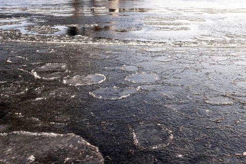 Elbe with ice, winter, Dresden, Saxony, Germany
